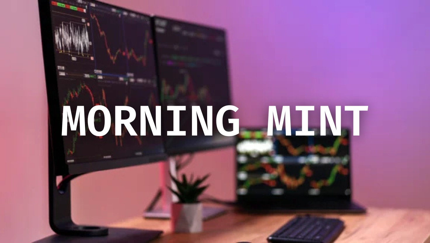 Morning Mint : Is it a dead cat bounce?